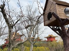-茅山东方盐湖城景区