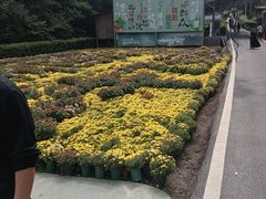 -浏阳石牛寨风景区