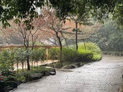 -南山植物园
