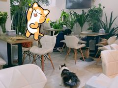 大堂-小时光咖啡馆(北锣鼓巷店)