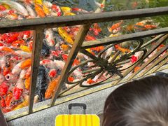 -番禺宾馆丽苑厅