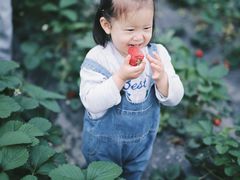 -小鱼草莓采摘园农家乐·小鱼餐厅