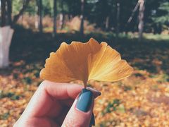 -济南国际园博园