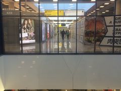 -谢列梅捷沃国际机场