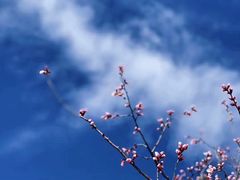 -颐和园