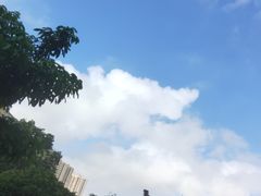 -粒上皇(湛江万达店)