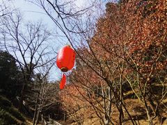 -香山公园