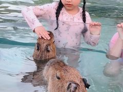 -郑州银基黄帝宫御温泉