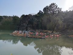 -宁波野生动物园