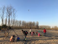 -东郊湿地公园