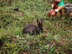 -莫尔道嘎国家森林公园