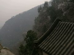 -北京鹫峰国家森林公园