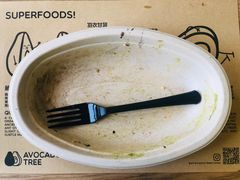 -油梨树AVOCADO TREE(望京店)