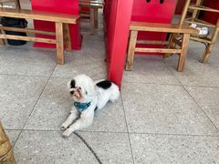 -陳艳红火锅(港汇店)