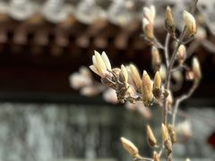 -三里河公园