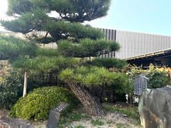 -南紀白浜 浜千鳥の湯 海舟