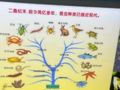 -上海昆虫博物馆