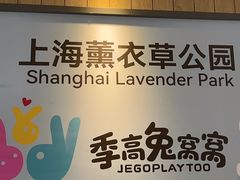 -季高兔窝窝亲子园(上海薰衣草公园店)