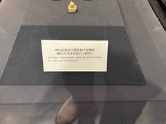 -北京周口店北京人遗址博物馆