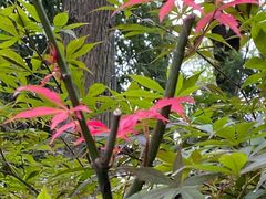 -杭州半山国家森林公园