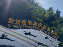 -西双版纳原始森林公园