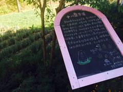 -云峰山自然风景区