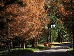 -北京植物园-展览温室