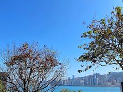 -讯号山花园