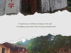 -杨家堂村