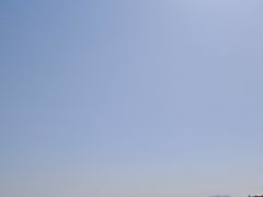 -沾化冬枣生态旅游区