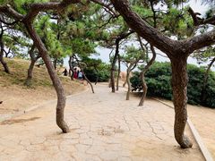 -青岛第二海水浴场