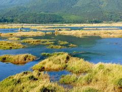 -腾冲北海湿地