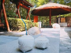 -天目湖御水温泉·度假酒店