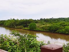 -东寨港红树林旅游区