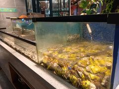 -遇上西雅图多融合海鲜自助餐厅(中房金谊广场店)