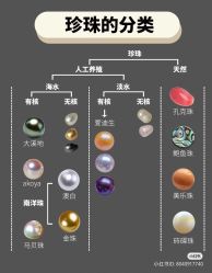 -VE DIAMOND·天然&培育钻石定制