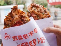 -半月镰胡姐脆皮萝卜饺子