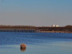 -西青郊野公园