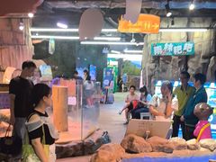 -正佳雨林生态植物园