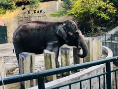 -大连森林动物园