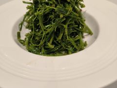 炝拌辣木苗-白家餐厅(徐家汇店)