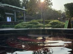 -扬州瘦西湖温泉