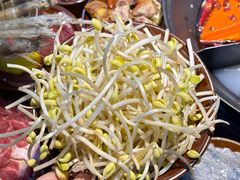 -阳阳老火锅(小南门店)