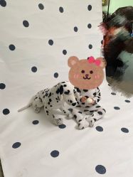 -DeerFriend童趣主题上门拍·到家·外拍摄影机构 (国贸店)
