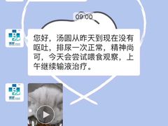 -北京博爱动物医院有限公司