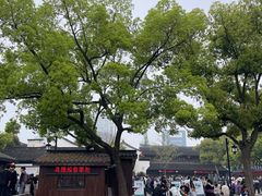 -绍兴鲁迅故里·沈园景区