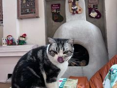 -小时光咖啡馆(开森度假森林店)