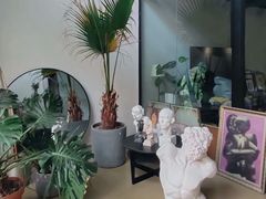 -六出私塾LiuChu•成人美术书法系统课程专业画室(熊婆婆的花园店)