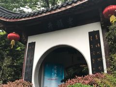 -十八棵（老龙井）御茶园(老龙井店)