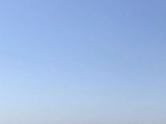 -山海一众流清河沙滩露营地·团建拓展·沙滩烧烤
